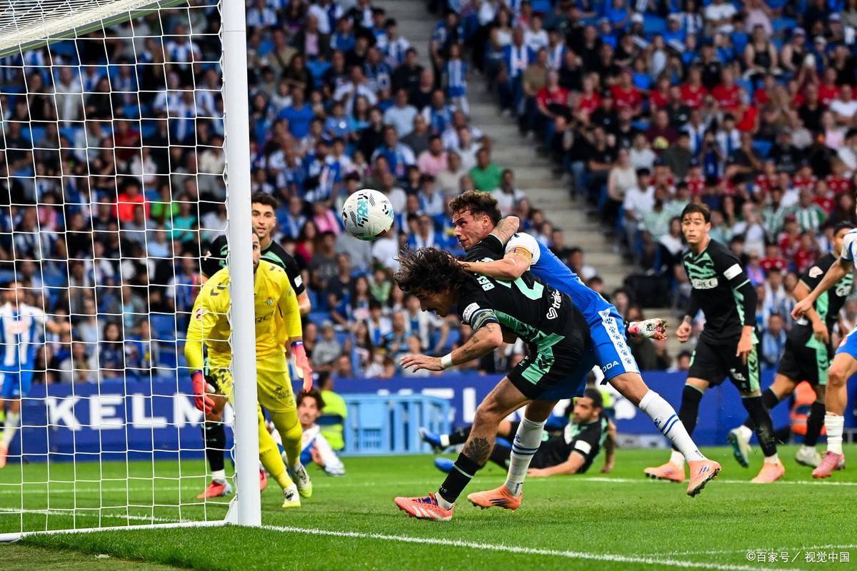 包含赛地聚焦——英超国际比赛日热度飙升,华盛顿奇才临场应变,球迷炸锅,临场指挥获称赞的词条 包含赛地聚焦——英超国际比赛日热度飙升,华盛顿奇才临场应变,球迷炸锅,临场指挥获称赞的词条